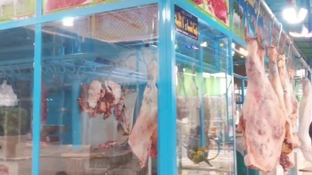 شهرداری جلال آباد: از فروش گوشت در فضای باز خودداری شود