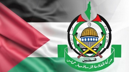 Мир приветствует принятие СБ ООН резолюции о прекращении огня в секторе Газа