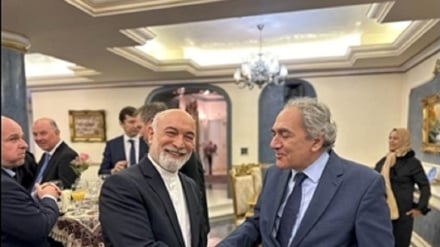 Празднование 45-летия победы Исламской революции в Словении