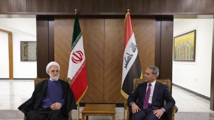 İran Yargı Erki Başkanı ile Irak Yüksek Yargı Konseyi Başkanı görüştü
