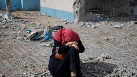联合国：加沙巴勒斯坦妇女权利遭到严重侵犯 