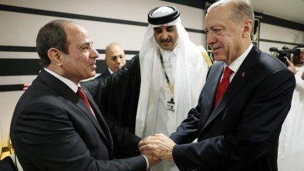 Erdogan und al-Sisi fordern Beendigung des Gaza-Krieges