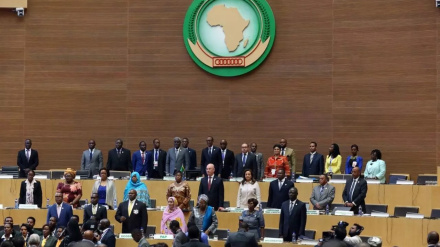 Главы африканских стран призвали к немедленному прекращению войны в секторе Газа