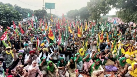 भारत की केन्द्र सरकार ने चार फसलों पर किसानों को कानूनी ज़मानत देने का प्रस्ताव दिया है। 