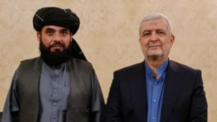 کاظمی قمی: دفاع از مردم افغانستان مبنای دیپلماسی ایران است
