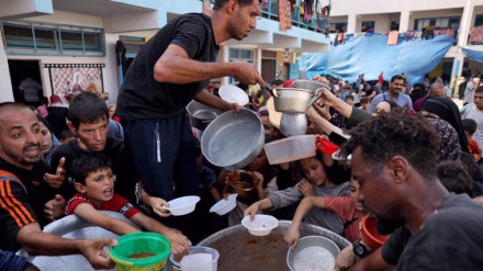 Over 700,000 people could starve to death in north Gaza as Israeli blockade persists, Gaza authorities warn