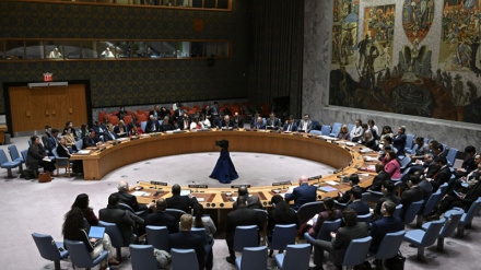 Իռլանդիայի ԱԳ նախարարը հայտարարել է, որ 21-րդ դարում վետոն իմաստ չունի