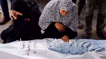 Israeli genocide: Seven Palestinian infants die from malnutrition in Gaza