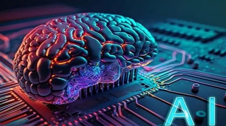 Iran ranks 1st in AI among Islamic states: Official