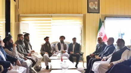 ورود هیات اقتصادی حکومت طالبان به منطقه آزاد تجاری چابهار
