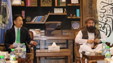 سفیر ژاپن در کابل: جهان در مسیر تعامل با طالبان حرکت کند