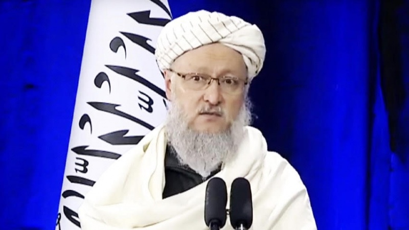 حنفی: سازمان ملل برای به رسمیت شناختن طالبان تلاش کند