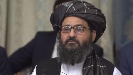 تاکید عبدالغنی برادر بر حضور نماینده طالبان در نشست‌های تغییر اقلیم
