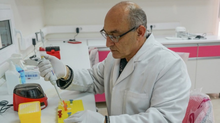 Представление шести эффективных иранских препаратов для лечения рака и кожных заболеваний