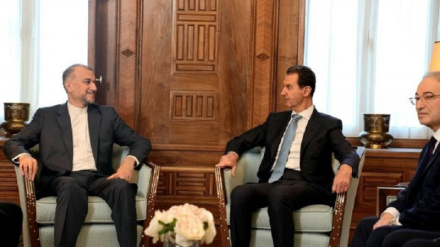 Амир-Абдоллахиан: Израиль не способен продолжать войну против Газы без поддержки Америки