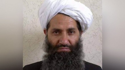 واکنش رهبر طالبان به انتقاد عالمان دینی از وی در رسانه‌ها
