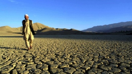 مولوی عبدالکبیر: نهادهای داخلی و خارجی برای حل مشکل خشکسالی در افغانستان کمک کنند