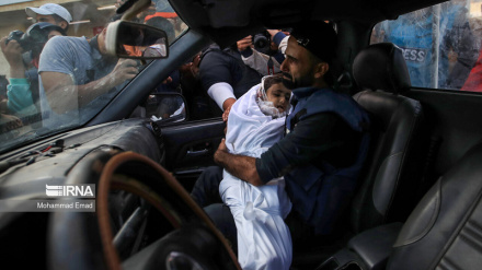 Заместитель министра иностранных дел Ирана: Израиль нарушает основные права палестинцев