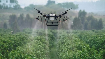 Նորություններ (104)