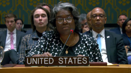 अमरीकी वीटो पर आने लगीं कड़ी प्रतिक्रियाएं