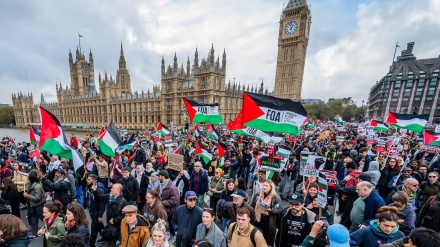 Protesta e përkrahësve të Palestinës në Londër/Foto