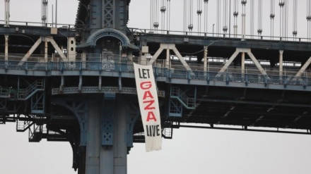 Возмущение поддержкой Америкой геноцида израильского режима в секторе Газа