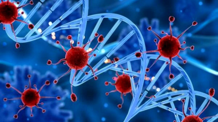 Применение нового метода лечения рака в Иране