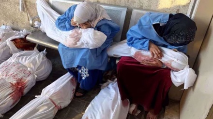 Children, women death toll in Gaza 6 times higher than Ukraine war: Report