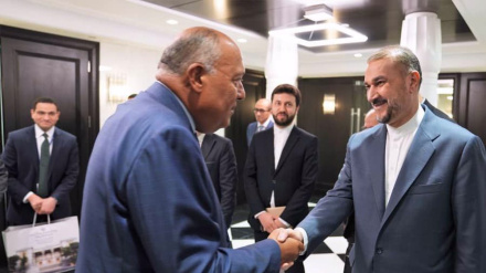 Amir-Abdollahian: Uhusiano bora wa Iran na Misri utaathiri vyema eneo zima