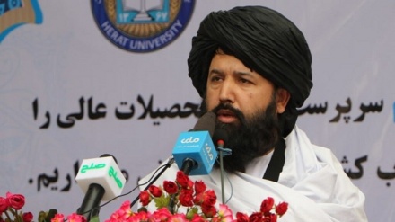 ندیم: نگرانی از حقوق زنان افغان بی‌ جا است