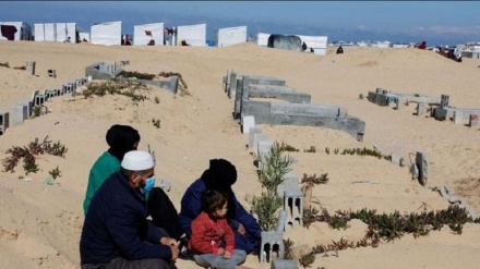 OHCHR、「ガザで前例ない数の民間人が殺害」