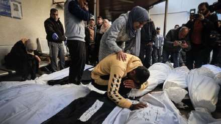 अमेरिका शीघ्र ही फिलिस्तीन देश को मान्यता देगाः न्यूयार्क टाइम्स