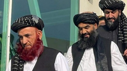 بازگشت دو زندانی طالبان در گوانتانامو  به افغانستان