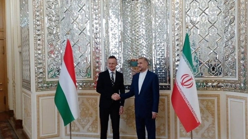 دیدار و گفت و گوی وزیران امورخارجه ایران و مجارستان