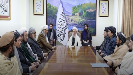 عبدالسلام حنفی با علمای شیعه در کابل دیدار کرد