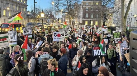 Собрание палестинских сторонников в Лондоне после нападения сионистского режима на Рафах