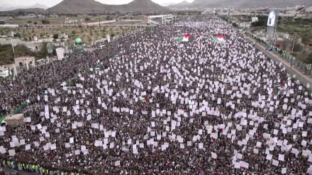 Yemeni protesters reaffirm support for Palestinians