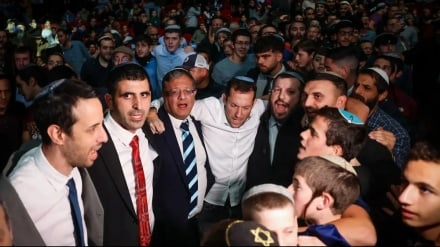 ליצני החצר של כנס הטרנספר