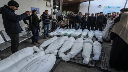 Lancet: Wapalestina waliouawa Gaza wanapindukia 186,000