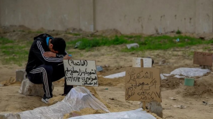 Запоздалая реакция Эр-Рияда на геноцид в секторе Газа