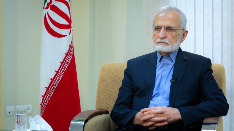 Sayid Kamal Kharrazi, Ketua Dewan Strategis Hubungan Luar Negeri Iran