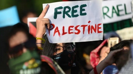 世界各地から上がる「パレスチナに自由を」の声
