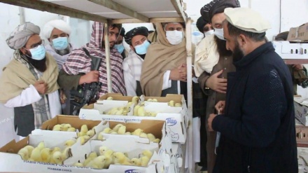 افغانستان در تولید گوشت و تخم مرغ به مرز خودکفایی رسیده است