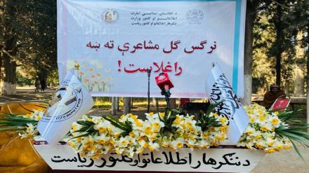 د افغانستان شاعران باید د ولس اتلولۍ او سرښندنې ته انعکاس ورکړی نور جزیات دلته لرو 