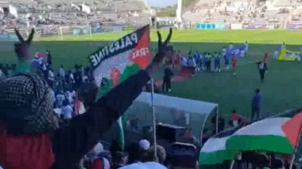 巴勒斯坦人民的支持者在南非的一个体育场支持加沙