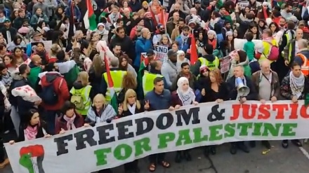 Իռլանդացի պաշտոնյան ընդգծում է Պաղեստինի նկատմամբ կայուն աջակցությունը