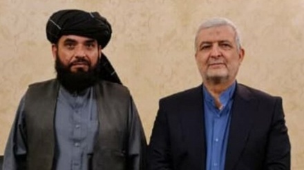 Каземи Коми: Защита всех слоев афганского народа – основа дипломатии Ирана
