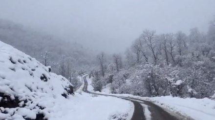 ❄️Թալեշի բարձունքներ, Գիլան, Իրան