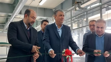 ईरान तरक़्क़ी की तरफ़ एक और क़दम, 10 मेगावाट के रिसर्च रिएक्टर पर काम शुरु