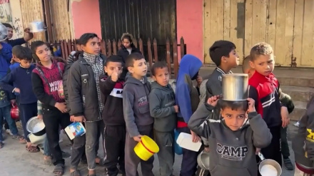 Предупреждение Борреля о сокращении бюджета БАПОР для палестинских беженцев